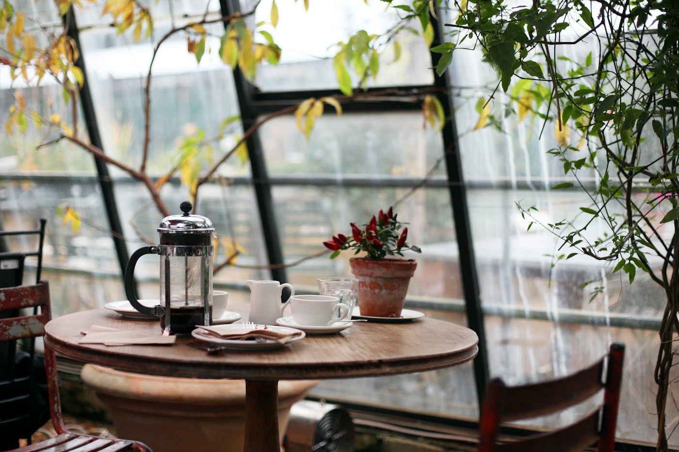 Coffee and cups on a wooden table beside a leafy window